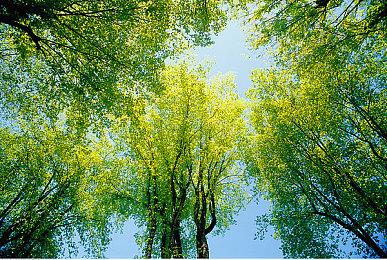 零售商泄露《英雄不再3》PS和Xbox版或将于10月4日发售